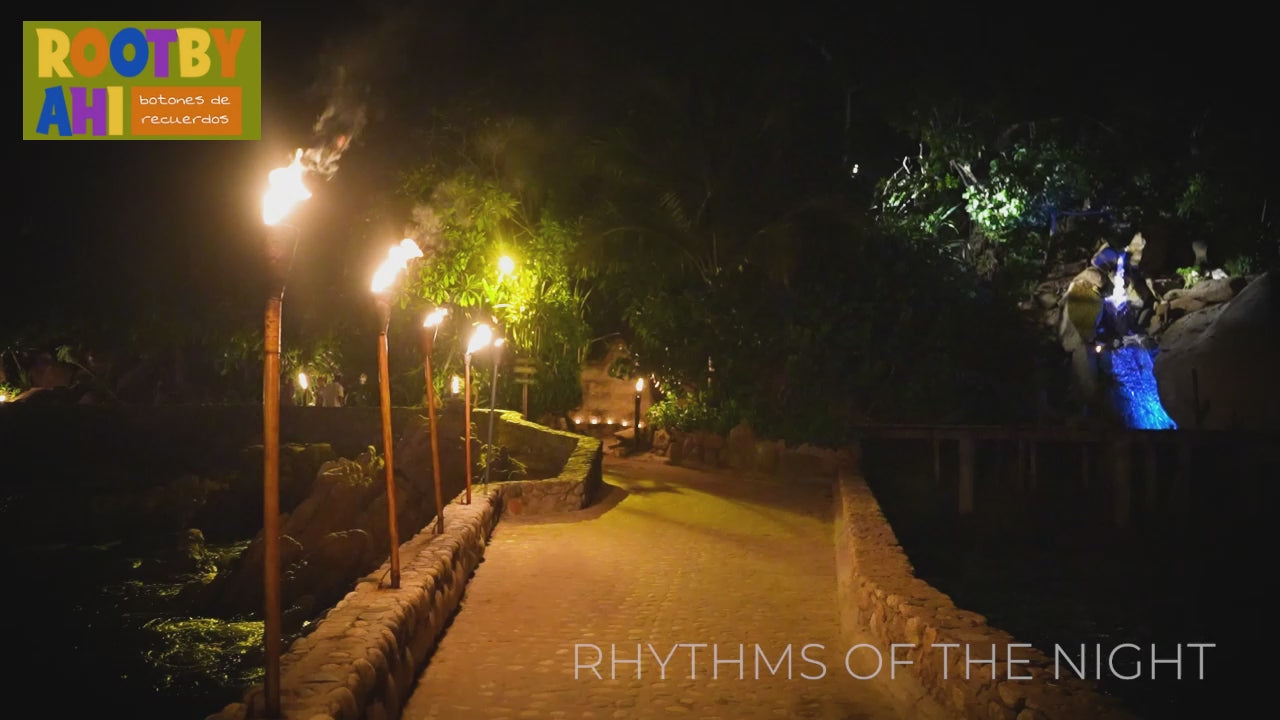 Ritmos de la noche | Puerto Vallarta